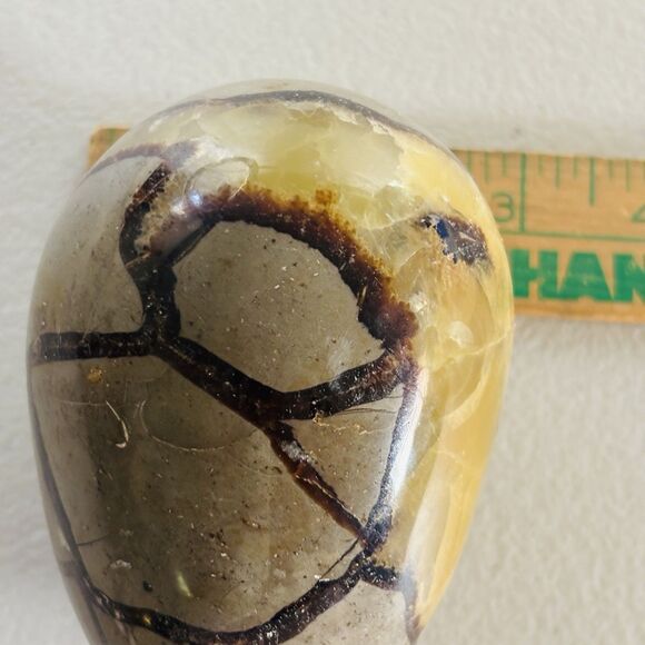 Stunning Septarian Dragon Quartz Crystal Geode Egg Stone Collectors Art Gift - Picture 14 of 14